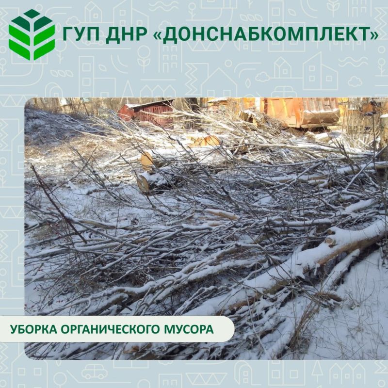 Поддержание порядка на придомовых территориях: успешное сотрудничество предприятий