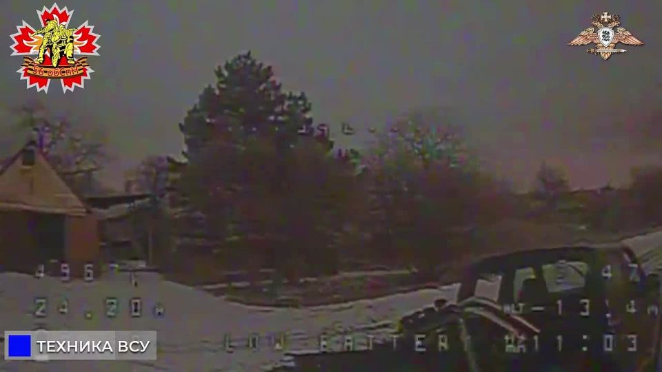 56 ����� ������ ����� � ���� ��� � ������� � ���������