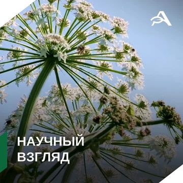 ���������� ���������� ��������: ��� ��� � ��� �� �������������