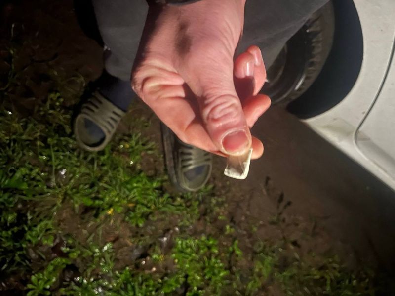 � ������������ ������ ����������� ��������� ������� �� ���������� �������� ����������