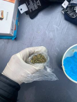 Сотрудники полиции пресекли попытку сбыта наркотиков в пгт Еленовка