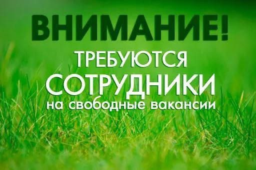 � ��� ��� ���� �. �������� ���������: