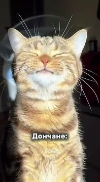 Доброе утро, мирного дня Вам!