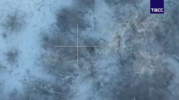 Бойцы бригады "Север-V" уничтожили группу ВСУ севернее Часова Яра