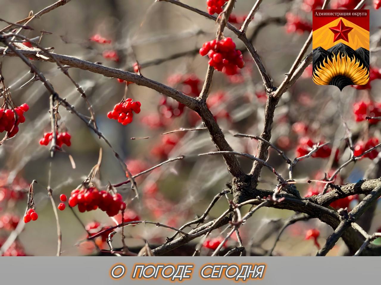 Гидрометцентр сообщил о погоде в Шахтерском округе