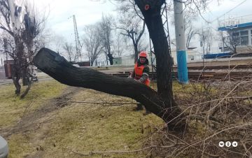 �� ���������� �������� ������������� �������� ��������� �������