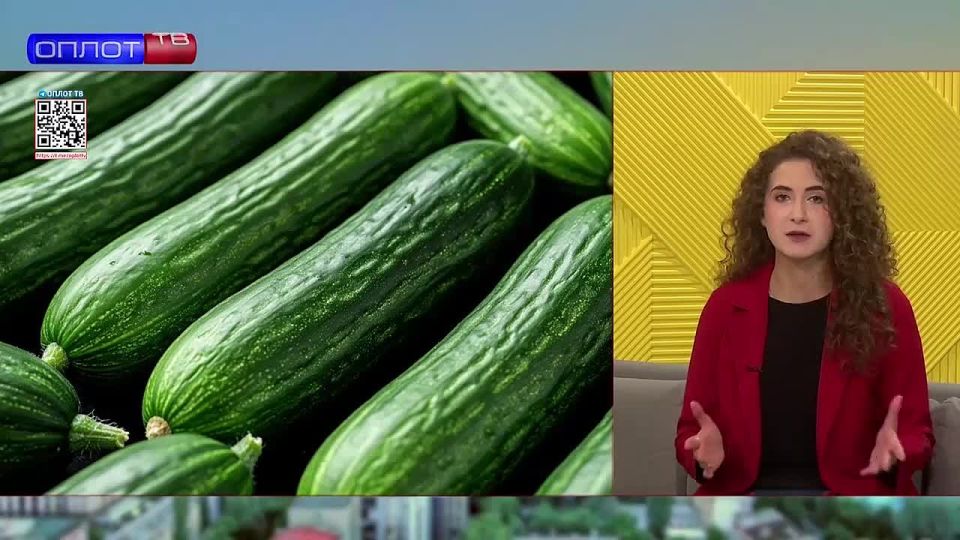 � ������� ������������ ������������ ���������� ���������