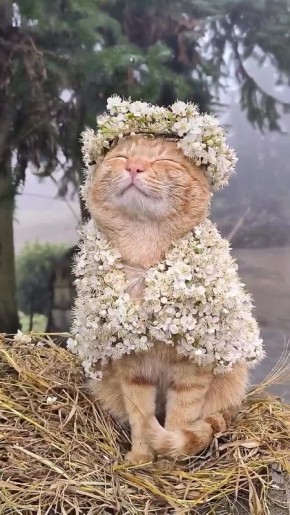 �� ��������� ������ �����, �� ���� ����� ����� � ������������ ������: