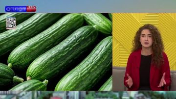 � ������� ������������ ������������ ���������� ���������