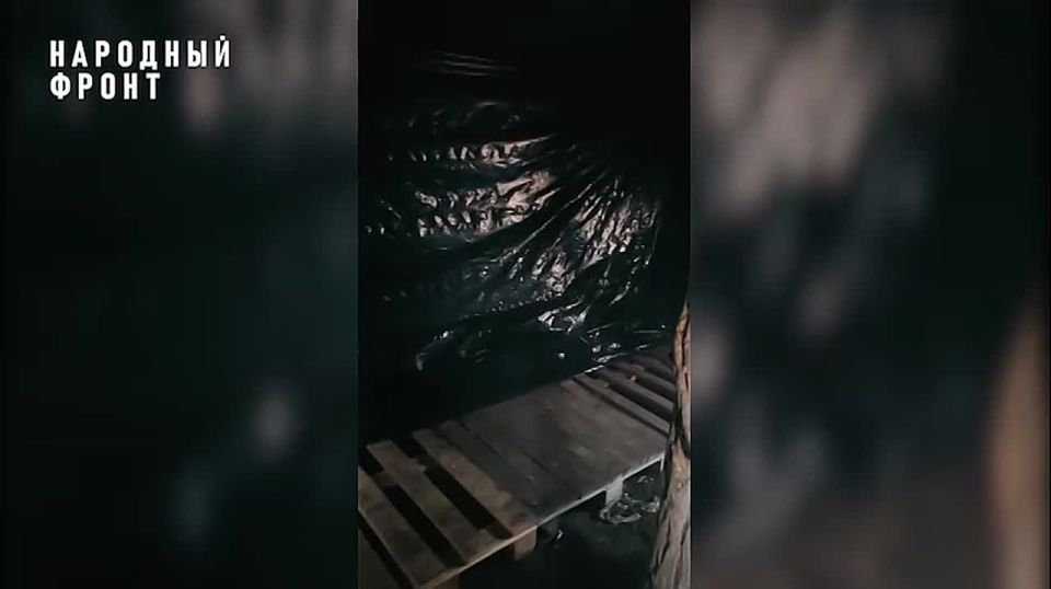 40 ������� ����� �������� ������ ��� ��������� � ������ ������� ��� �������� ��������� �������