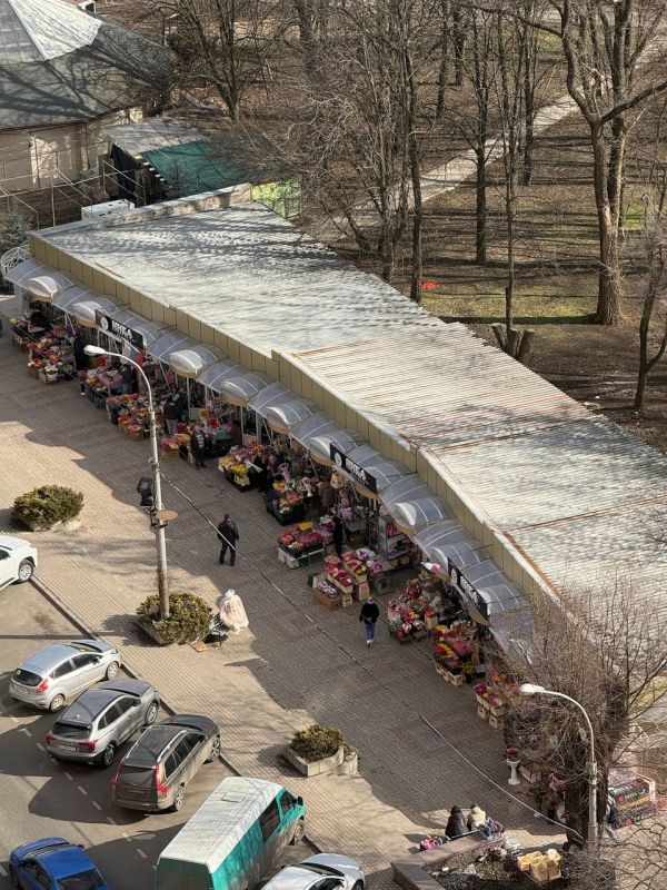 �������� ����������: ������ �������� ��������� � 8 �����