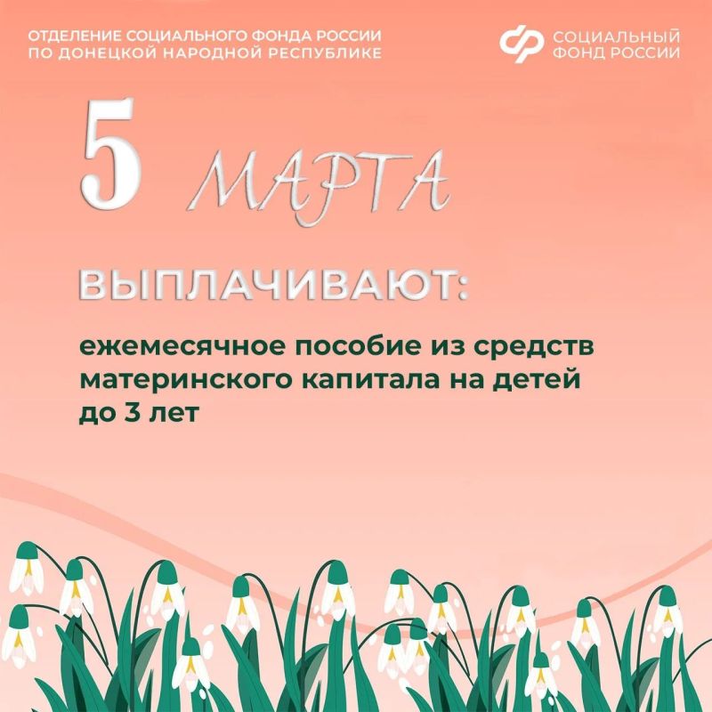 5 марта — день выплаты детских пособий в ДНР
