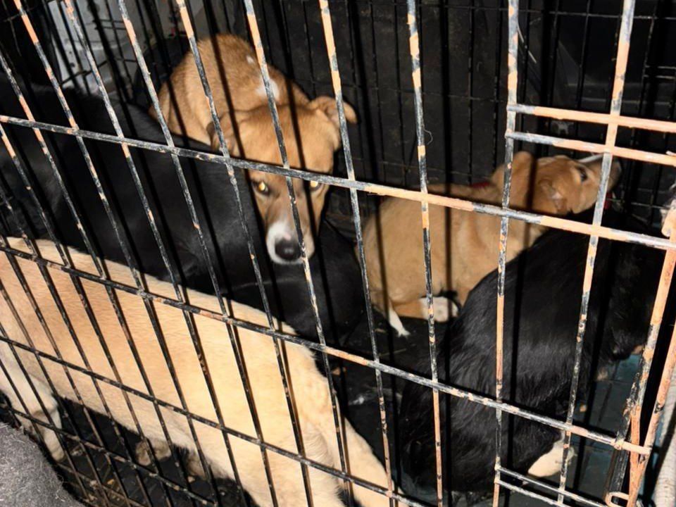 ����� �����: � ������������� ������������� ������ �������� ������ �� ������ ������������ ��������