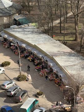 �������� ����������: ������ �������� ��������� � 8 �����