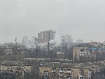 �� ��������� �� 6 ����� � ������ 1046 ��������� (85%)