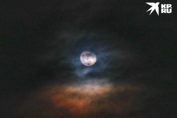 �� ��� ��� ������ ��������� ��������� ���� �������������� �������