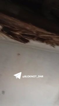 � �������� ��-�� ����������� ����� ��� �������� ������� ���� �� ���� �������, ����������� ���������������� �������