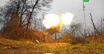 ����� ������ ���������� �������� ����