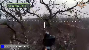 33 ��� �������� ������� ��� ��� � ������ ���������