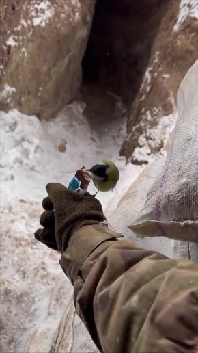 ������ ��� � ����� �� ���� ���