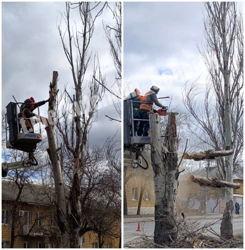 ������� ��������: � �������� ������� ���������� ��������� ������ �� ���������� ��������� � ����������� ��������, ������������ ������ ��� ������� ���������