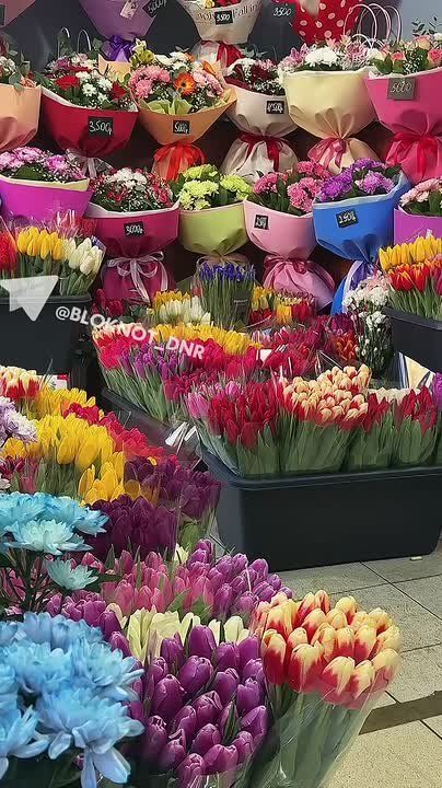 �������� ������ ������� �������� ��������� ������ � ������� � 8 �����