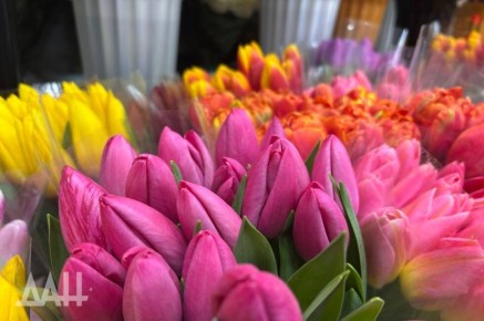 8 ����� �� �������: ������� ����� ����� � ��� �������� ������ �������