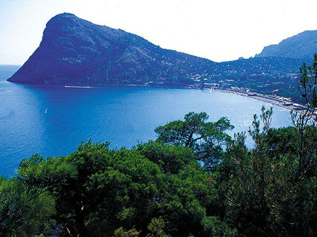 На Украине поймали "продававших инвалидность" врачей, а британцы назвали войну против Ирана провалом: информационный хит-парад