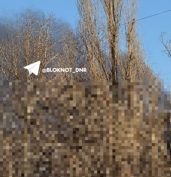 �� ������ ������� ��������� ������� ����������