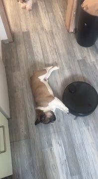 ����� ��-��� ������� �� �������� � ���������� ������, ������ ���������: