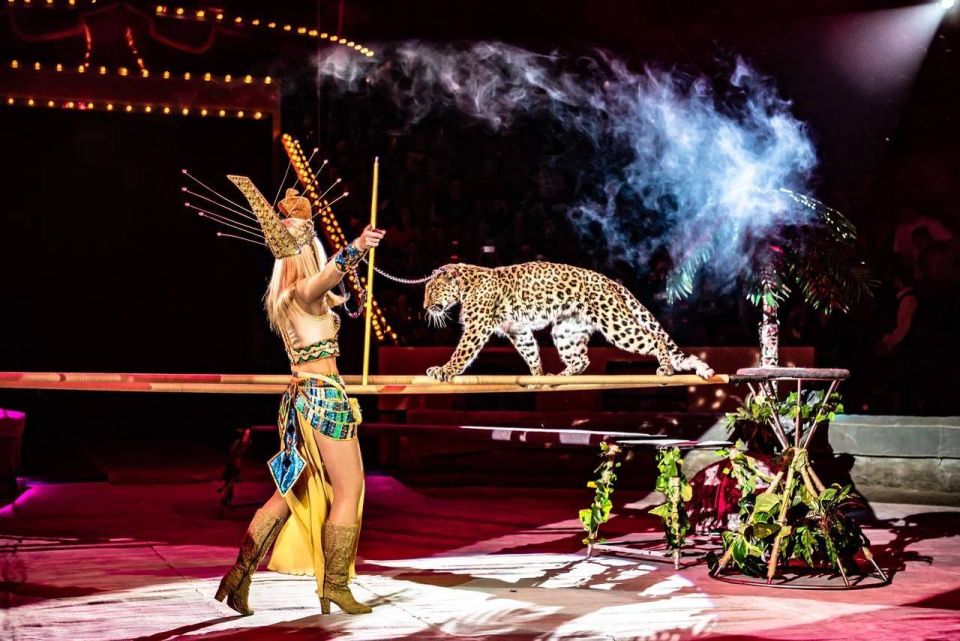 Новые цирковые шоу и благотворительная акция для матерей от Росгосцирка