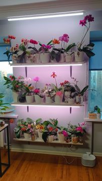 ������� ������: ����� ��� ������! �������� �������!