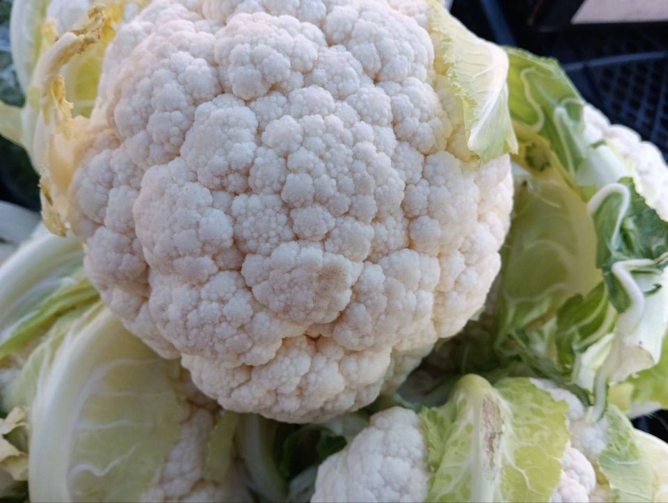 Универсальная ярмарка в городе Мариуполь