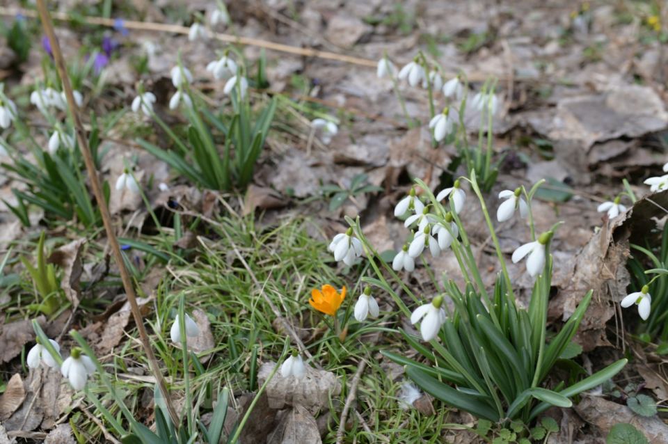 �����, ������, �����������, �������������, �����������, ������, �����������, ����������, ������������ ���� ��� �������� ����� ���������� ����������, ���� ���� ���� � ���������� �������� ������������