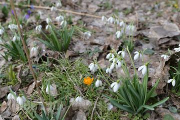 �����, ������, �����������, �������������, �����������, ������, �����������, ����������, ������������ ���� ��� �������� ����� ���������� ����������, ���� ���� ���� � ���������� �������� ������������