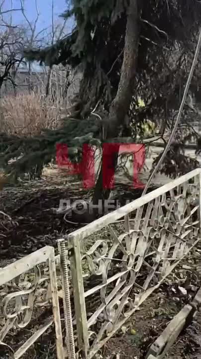 Спиленные деревья завалили детскую площадку на Артёма 163,б