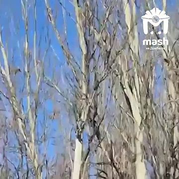 ��������-���������� ���������� ���������� �� ������ � ��������