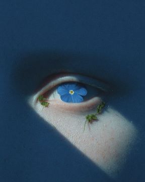 �������. ���������� � ��������