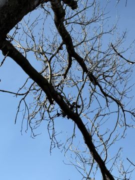 ������, ��������� � ���, ��� ���� ��� �����, ���� ���������� ������� ���������