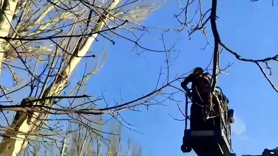 � ��� � ����� �������� ����� � ��������