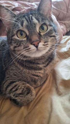 ����� ���������� ����� ���������� �������� � �������