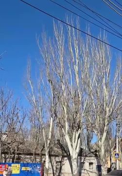 �� ��. ��������� � �������� ������� ���� �� ������