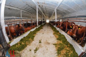 � ��� ������� ������������ �����, ��� ���� ������� ������ � ������