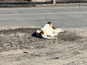 ������� ������� �� ����� �����������, ����� �������: