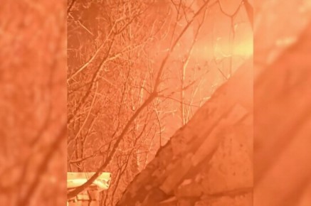 ������ ����� �� ���: ����� 15 ���������� ������