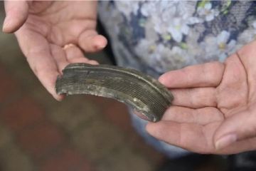 ������� ��������: ��� ��� ������� � ��������������� ������� ����������