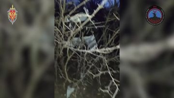 �� ��������� 50 ��/� ������ ����� ������� ���� ��� �� ������ � ��������