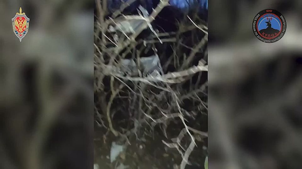 15 ������������� ��� ���������� �� ���� ������������� "����� ��������" � "�������" ��� ���