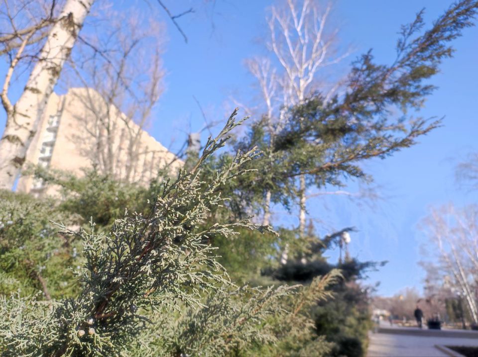 Желаем всем продуктивной рабочей недели и хорошего дня!