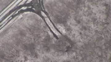 ������� ���������: ����� ����������� ������ ��� �� ������������� ����������� �������� ����� ����� ����������� ������ 120-� ������� ������� ������ ����������� ����� "�����"